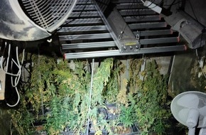 Polizei Bonn: POL-BN: Alfter: Rund 70 Marihuanapflanzen und weitere Drogen sichergestellt