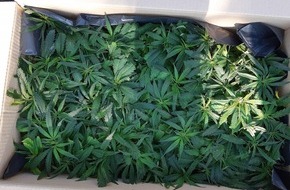 Bundespolizeidirektion Sankt Augustin: BPOL NRW: Bundespolizei landet Volltreffer bei Stichprobenkontrolle/ Haftbefehl vollstreckt und 600 Cannabispflanzen beschlagnahmt