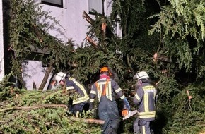 Feuerwehr und Rettungsdienst Bonn: FW-BN: Sturmtief über Bonn - Feuerwehr im Dauereinsatz