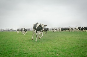 Ben & Jerry's: HAPPY COWS, HAPPY FARMERS, HAPPY PLANET - heißt das Motto von Ben & Jerry's (BILD)