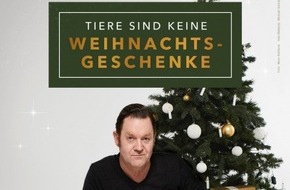 PETA Deutschland e.V.: Neues Video: Schauspieler Jürgen Tonkel appelliert an alle Tierfreunde: "Tiere sind keine Weihnachtsgeschenke"