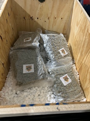 ZOLL-E: Erfolgreicher Schlag gegen organisierte Bet&auml;ubungsmittelkriminalit&auml;t / 1,5 Tonnen Marihuana sichergestellt / 1 Person in Haft