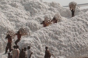 Bremer Baumwollbörse: Passion for Cotton! / 35. Internationale Baumwolltagung Bremen -The Hybrid Edition / Topthema: Verantwortung. Auch bei der Rohstoffproduktion