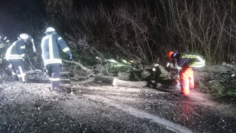 FW-WRN: TH_1 - Baum auf Fahrbahn