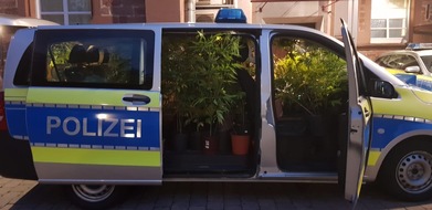 Polizeipräsidium Heilbronn: POL-HN: Pressemitteilung des Polizeipräsidiums Heilbronn vom 27.07.2021 mit einem Bericht aus dem Main-Tauber-Kreis