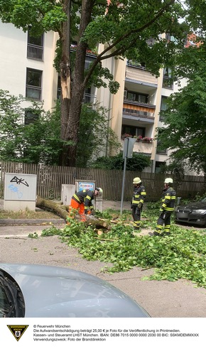 FW-M: Herabfallender Ast beschädigt mehrere Fahrzeuge (Neuhausen)