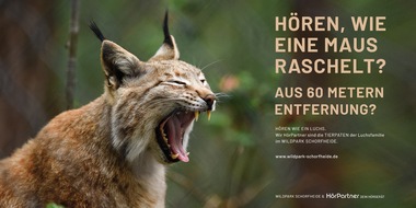H&ouml;rPartner GmbH: H&ouml;ren wie ein Luchs: H&ouml;rPartner verl&auml;ngern Patenschaft f&uuml;r Luchs-Familie im Wildpark Schorfheide