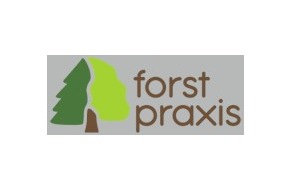 DEUTSCHER WALDPREIS 2024 geht an Leistungsträger aus Baden-Württemberg, Bayern und Sachsen-Anhalt