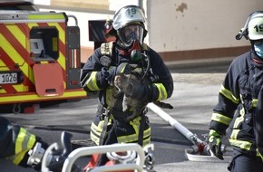 Feuerwehr Dortmund: FW-DO: Feuerwehr rettet Hund und Katze aus brennender Wohnung