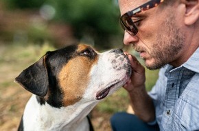 Rover: Teurer als gedacht! / Rover-Umfrage zeigt: Fast jede:r zweite Hundehalter:in untersch&auml;tzt die Kosten