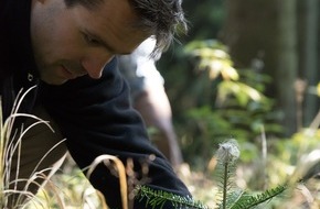 Bergwaldprojekt e.V.: Gemeinsam im Einsatz für Schutzwald und Artenvielfalt: Das Bergwaldprojekt im Forstbetrieb Oberammergau