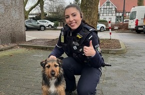 Polizei Gütersloh: POL-GT: Terrier Charlie aus Rietberg wurde in Gütersloh von einem aufmerksamen Hinweisgeber erkannt