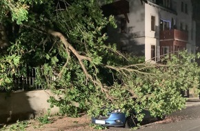 Feuerwehr Dresden: FW Dresden: Sturmereignis im Leitstellenbereich führt zu erhöhtem Anrufaufkommen am Notruf 112