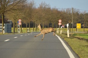 ADAC: ADAC warnt: Hohes Wildunfall-Risiko durch Umstellung auf Sommerzeit / Wildwechsel meist in der Dämmerung / Fahrweise vor allem an Wäldern und Wiesen anpassen