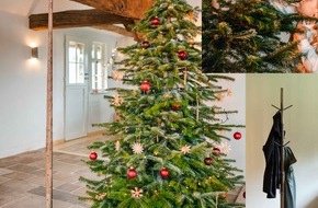 Treelivery GmbH: Keinachtsbaum im Trend: Weihnachtsfreude trifft Nachhaltigkeit