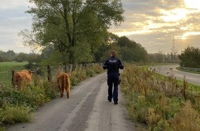Kreispolizeibehörde Wesel: POL-WES: Wesel - Lippedorf / Ich kann auch Hund - Ganz ohne Schule