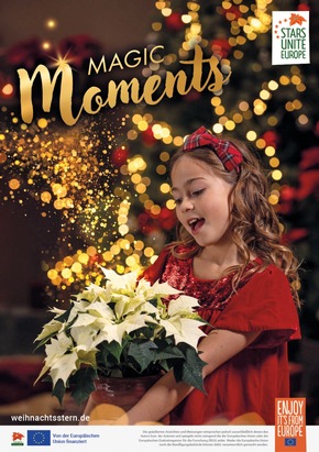 Mehr Erfolg im Weihnachtsgeschäft: Nur noch bis zum 18. September - Weihnachtsstern-Werbemittel sichern