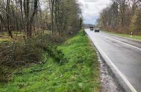 Polizeidirektion Landau: POL-PDLD: Kollision mit Baum in der Gemarkung Hatzenbühl