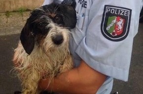 Polizei Düsseldorf: POL-D: Kaiserswerth - Polizisten retten vermissten Hund - Lucka und Herrchen wieder vereint