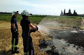 Freiwillige Feuerwehr Bedburg-Hau: FW-KLE: Mähdrescher löst Feldbrand aus/ Feuerwehr bittet um Hilfe - Landwirte sollen Güllefässer mit Wasser bereitstellen