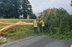 Freiwillige Feuerwehr Lage: FW Lage: TH 0 / Blitzeinschlag in Birke ohne Feuer - 30.06.24 - 14:04 Uhr