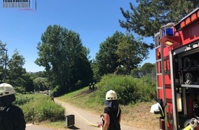 Feuerwehr Iserlohn: FW-MK: Flächenbrand am Hemberg