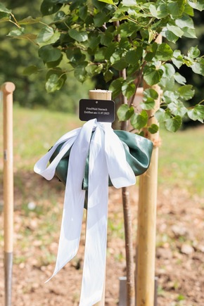 FriedWald Starzach eröffnet – ein Ort der letzten Ruhe unter Bäumen