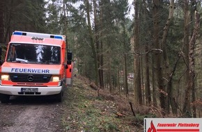 Feuerwehr Plettenberg: FW-PL: OT-Almecke. Forstarbeiter wird bei Fällarbeiten von Baum getroffen und schwer verletzt.