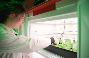 Leibniz Universit&auml;t Hannover: Pressemitteilung Nr. 010/2026 der Leibniz Universit&auml;t Hannover   Ein synthetischer Lichtschalter f&uuml;r die Photosynthese