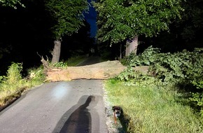Freiwillige Feuerwehr Hünxe: FW Hünxe: Baum blockierte Fahrbahn