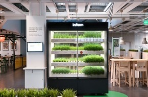 IKEA Deutschland GmbH & Co. KG: Urban Farming Projekt: IKEA und Infarm bauen gemeinsam nachhaltig Kräuter an
