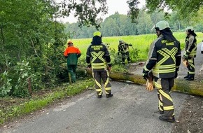 Freiwillige Feuerwehr Hünxe: FW Hünxe: Umgestürzter Baum