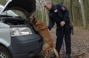 Polizeiinspektion Nienburg / Schaumburg: POL-NI: Nienburg-Polizeihund "Collyn" findet nach Verfolgungsfahrt Betäubungsmittel im Pkw