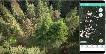 BitApps GmbH: Sind die deutschen Wälder noch zu retten?