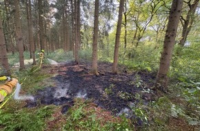 Kreisfeuerwehr Oldenburg: FW-OLL: Kleiner Waldbrand am Montagabend schnell unter Kontrolle