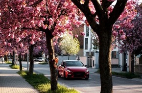 Oehler Web: Frühlingserwachen im Schweizer Gebrauchtwagenhandel: Saisonale Trends, regionale Unterschiede und beliebte Modelle im Frühling 2025