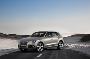 Audi AG: AUDI AG: prior-year sales total exceeded after 11 months (BILD)