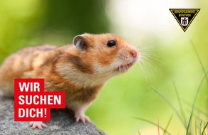 Feuerwehr M&uuml;nchen: FW-M: Feuerwehr M&uuml;nchen sucht Kleintiere f&uuml;r den Einsatzdienst