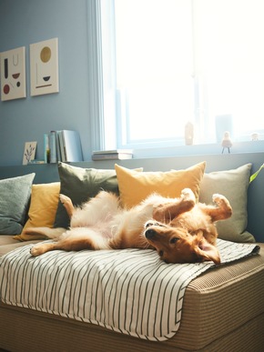 IKEA launcht erste Haustierkollektion UTSÅDD: Für die Katz? Und den Hund!