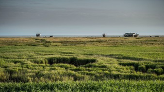 Tourismus-Zentrale St. Peter-Ording: St. Peter-Ording wird Global Nachhaltige Kommune