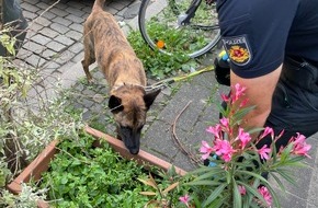 Polizei Bremen: POL-HB: Nr.: 0428 --Buddy und Hudson - Ein erfolgreiches Duo--