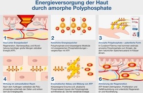 Dr. Wolz Zell GmbH: Neuer Wirkstoff versorgt Haut mit Energie / Amorphe Polyphosphate unterst&uuml;tzen Hautregeneration