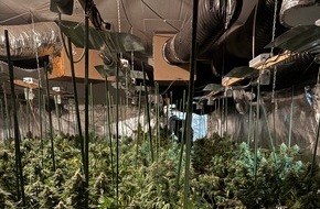 Kreispolizeibehörde Ennepe-Ruhr-Kreis: POL-EN: Ennepetal: Gemeinsame Presseerklärung der Hagener Staatsanwaltschaft und der Polizei des Ennepe-Ruhr-Kreises: Cannabis-Plantage in Ennepetal entdeckt - drei Personen festgenommen