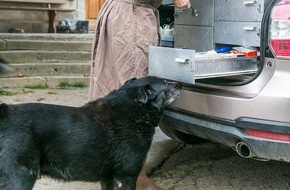Gesellschaft Schweizer Tierärztinnen und Tierärzte (GST): Communiqué de presse: Les vétérinaires s'engagent pour l'initiative sur l'approvisionnement médical
