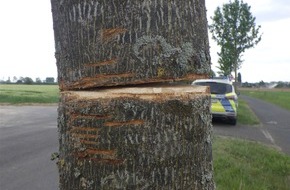 Kreispolizeibehörde Kleve: POL-KLE: Kleve - Straßenbaum angesägt