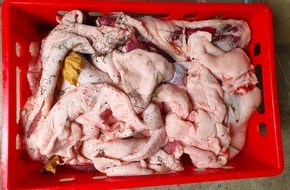 Landespolizeiinspektion Nordhausen: LPI-NDH: Fleischkisten und Scheinekämme suchen ihren Besitzer