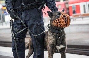 Bundespolizeiinspektion Kassel: BPOL-KS: Diensthund stoppt flüchtenden Schwarzfahrer