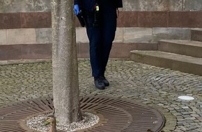 Polizeidirektion Neustadt/Weinstraße: POL-PDNW: (Bad Dürkheim) - Entenfamilie auf Abwegen