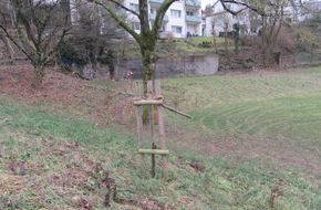 Polizeiinspektion Hameln-Pyrmont/Holzminden: POL-HM: Zerstörungsschaden an angepflanzten Bäumen