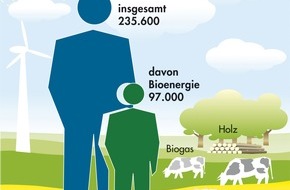 FNR Fachagentur Nachwachsende Rohstoffe: Wirtschaftsfaktor Bioenergie - Neue Zahlen legt die Endversion einer BMU-Studie vor:
